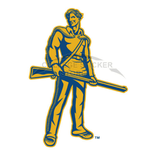 Diy West Virginia Mountaineers Iron-on Transfers (Wall Stickers)NO.6932